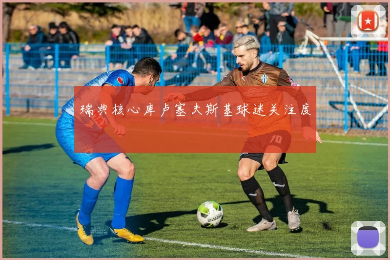 瑞典核心库卢塞夫斯基球迷关注度