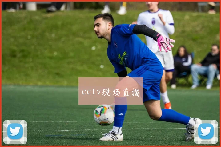 cctv现场直播