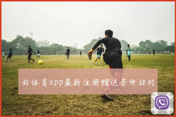 好体育app最新注册赠送条件核对