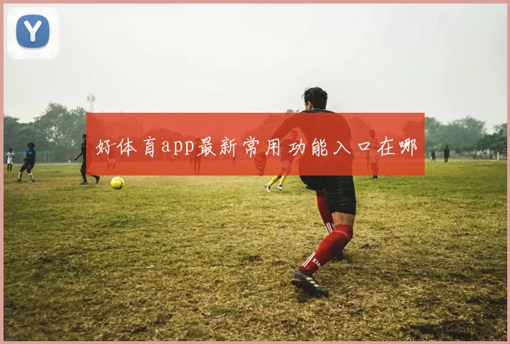 好体育app最新常用功能入口在哪