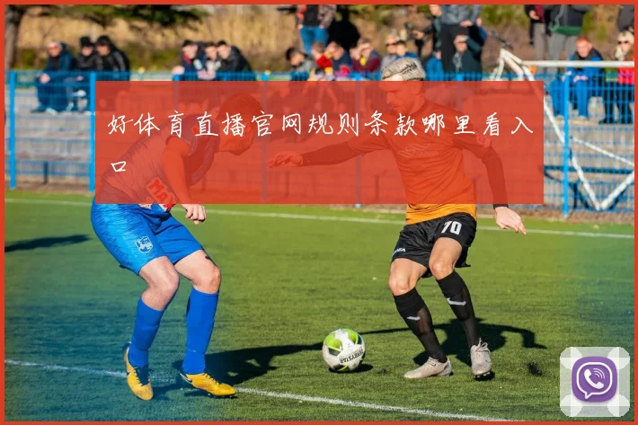 好体育直播官网规则条款哪里看入口