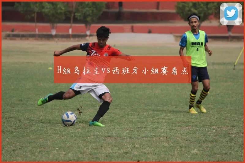 H组乌拉圭vs西班牙小组赛看点